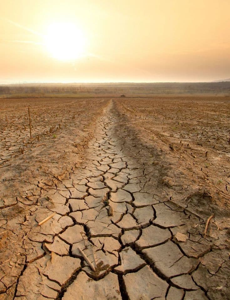 Analytics for Agriculture