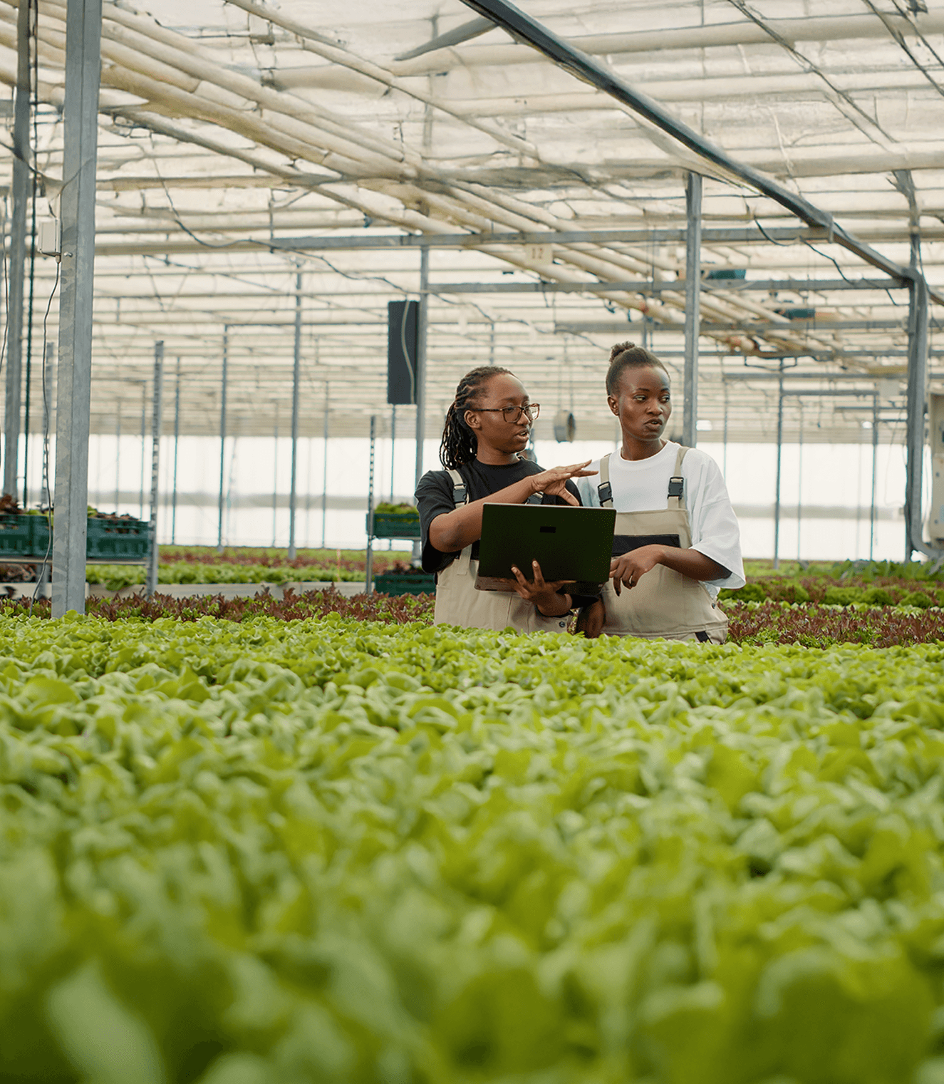 Co-design with farming communities