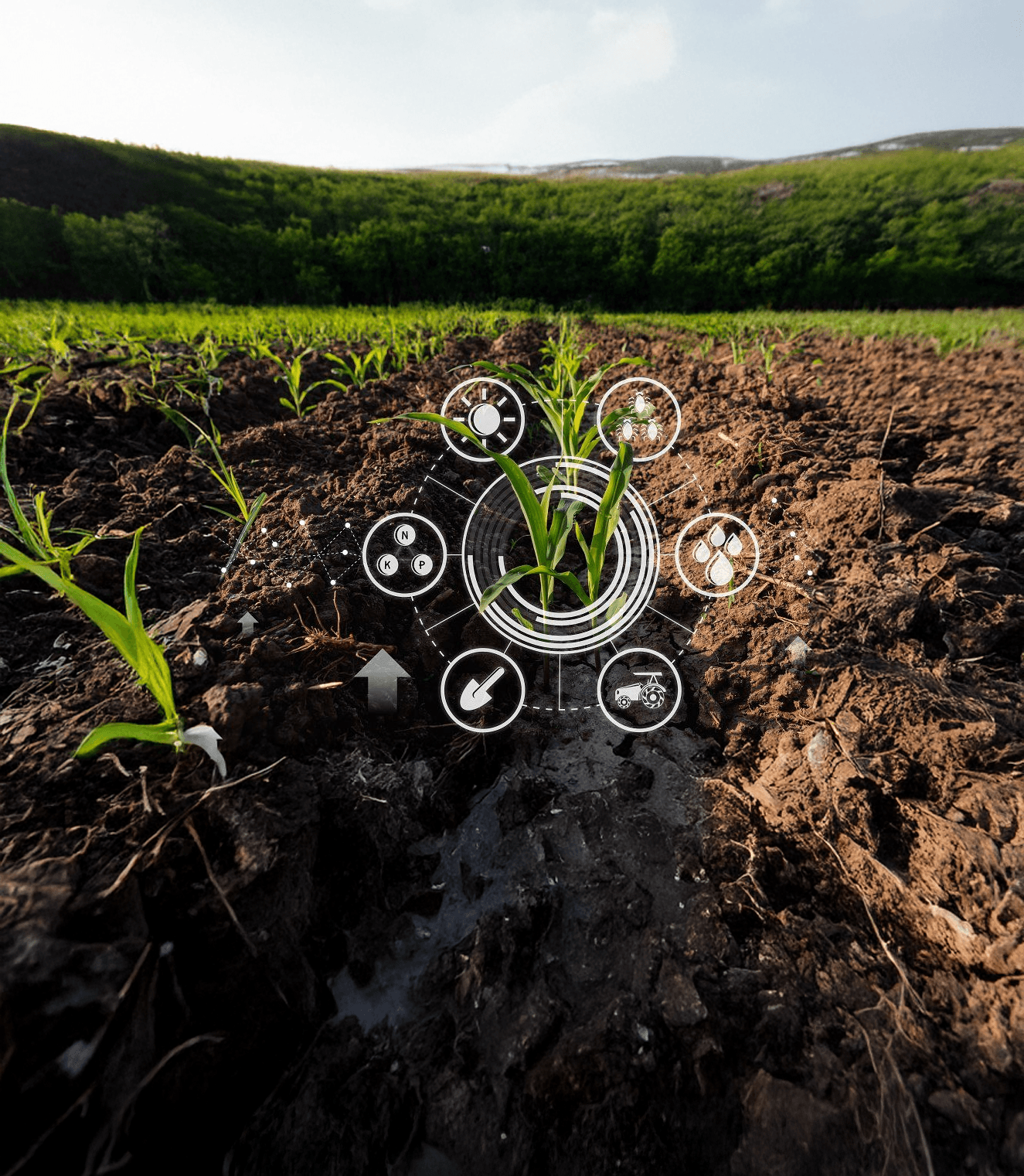 Pilots & scalable living lab deployments